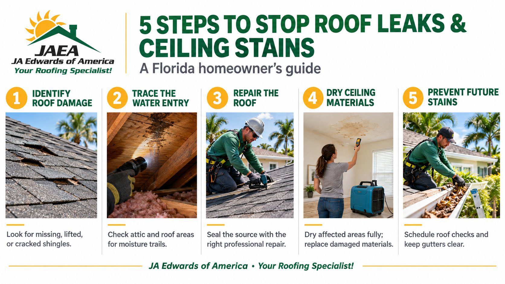 JA Edwards of America infographic showing five steps to stop roof leaks and ceiling stains, from identifying roof damage to preventing future stains